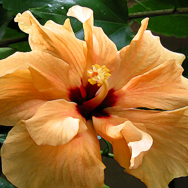 In Full Bloom by Diane Ellingham In Full Bloom by Diane Ellingham